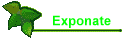 Exponate