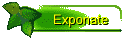 Exponate