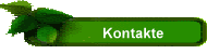 Kontakte